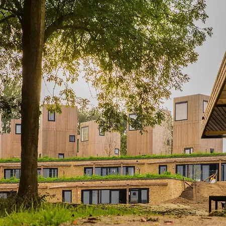 Special Hillside In