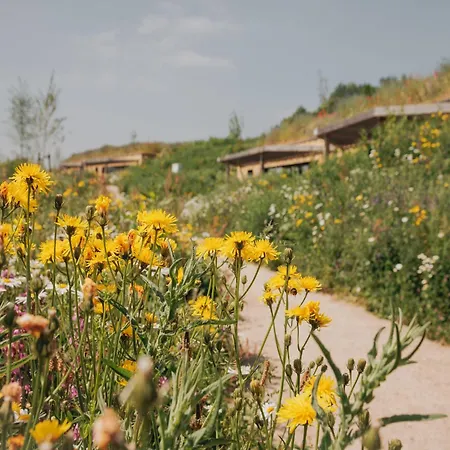 Special Hillside In Holiday home Gulpen