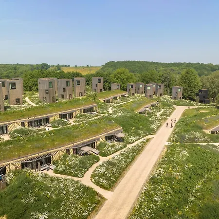 Special Hillside In *