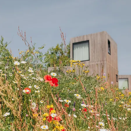 Holiday home Special Hillside In *